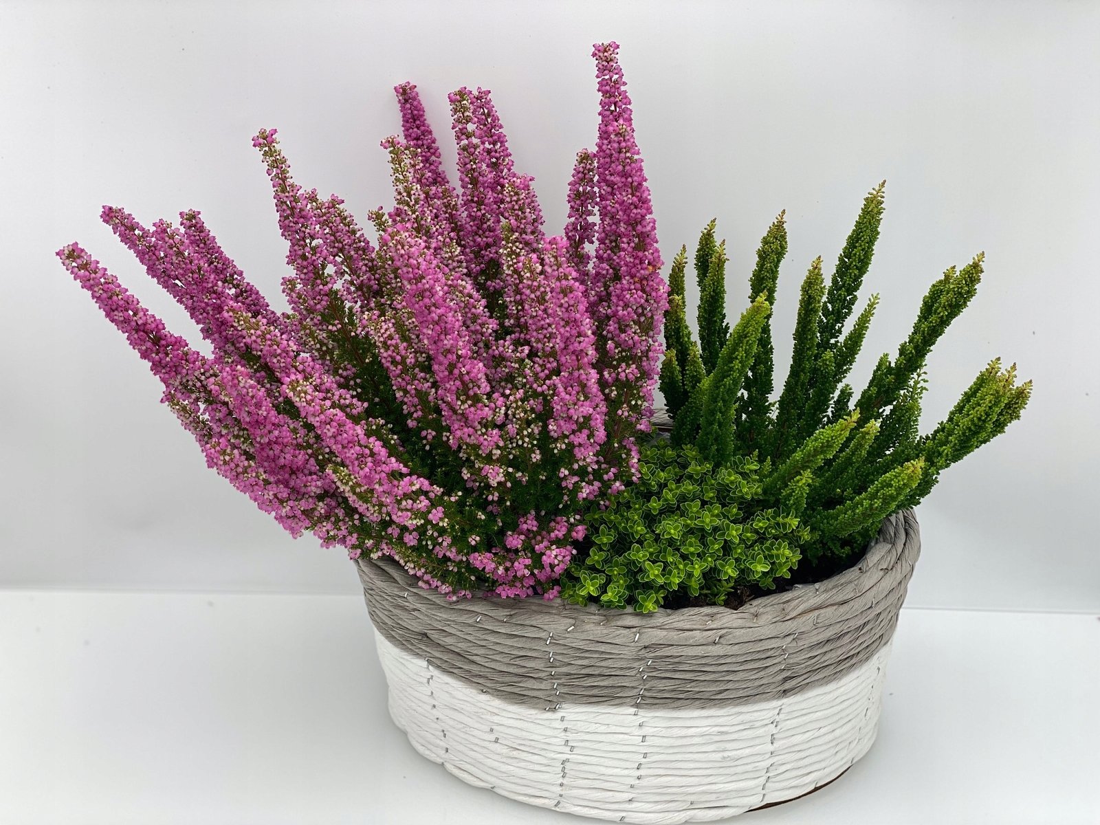 Osłonki owalne komplet 31x23 h 14 cm i 26x18 h 13 cm - obrazek 2