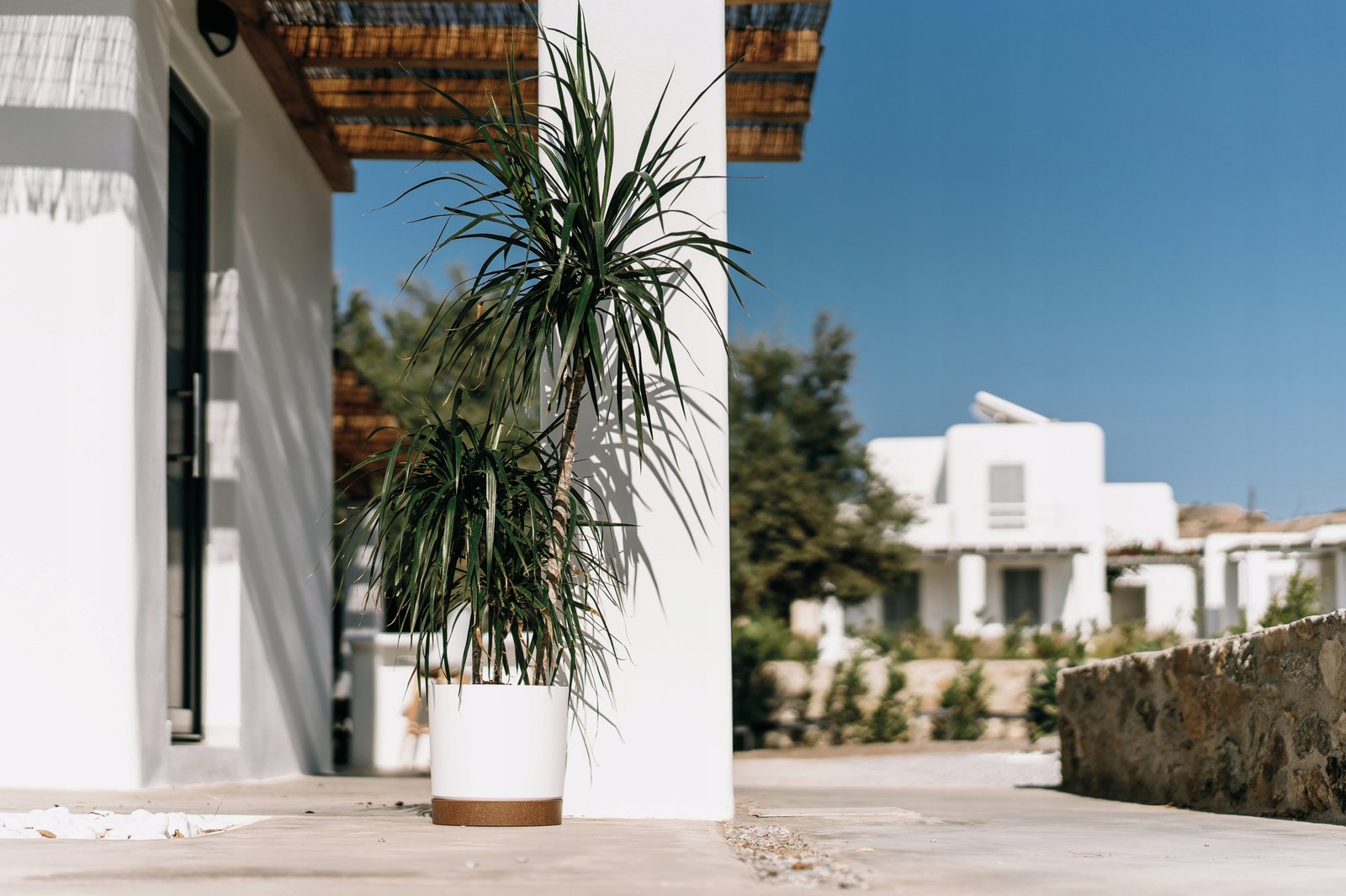 Doniczka z podstawką TUBO PM 20 CM Prosperplast 19,9x19,9x19,6 cm zielony - obrazek 4