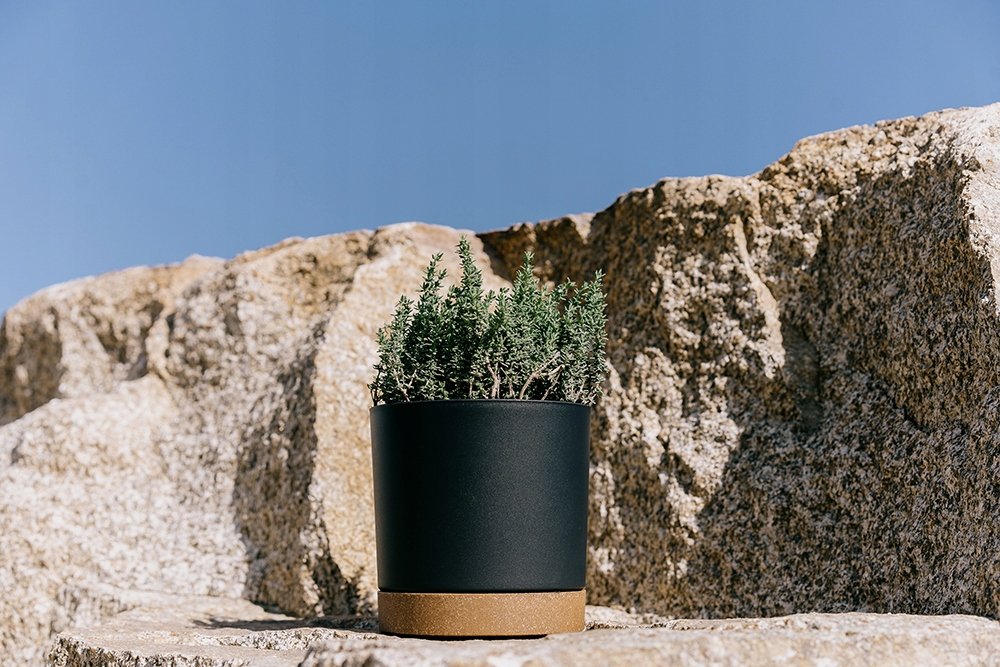 Doniczka z podstawką TUBO PM 24 CM Prosperplast 23,9x23,9x23,1 cm zielona - obrazek 16