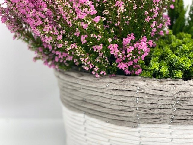 Osłonki owalne komplet 31x23 h 14 cm i 26x18 h 13 cm - obrazek 3