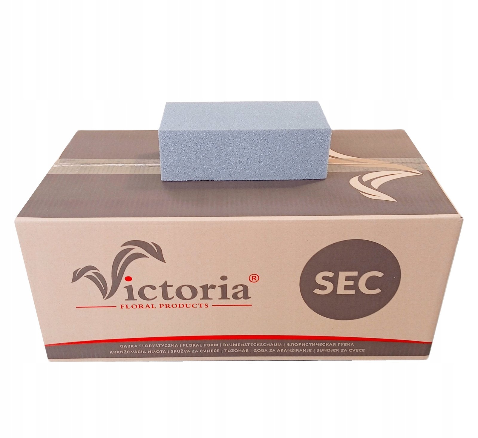 Gąbka sucha Victoria karton 20szt do sztucznych