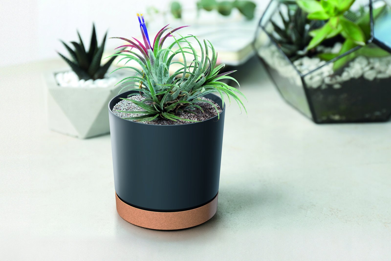 Doniczka z podstawką TUBO PM 30 CM Prosperplast 29,2x29,2x28,3 cm biała - obrazek 9