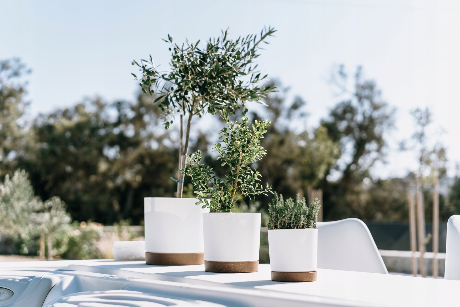 Doniczka z podstawką TUBO PM 30 CM Prosperplast 29,2x29,2x28,3 cm antracyt - obrazek 5