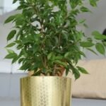 Doniczka Złoty Art deco Dekor nowoczesna ozdobna 14 cm