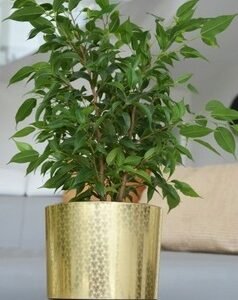 Doniczka Złoty Art deco Dekor nowoczesna ozdobna 14 cm