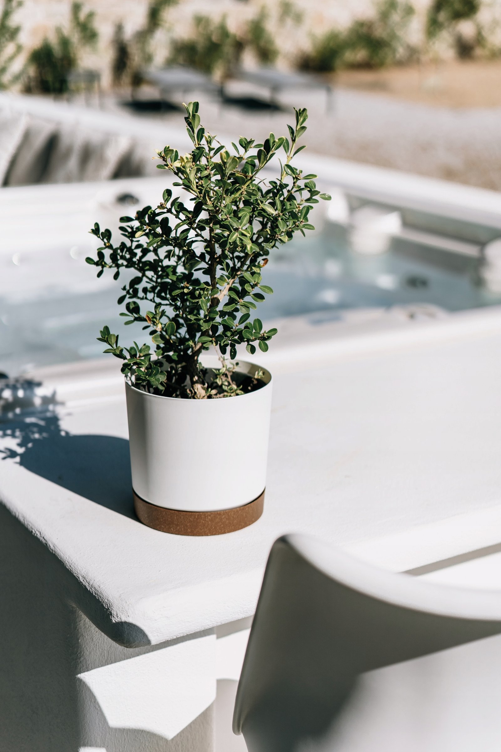 Doniczka z podstawką TUBO PM 20 CM Prosperplast 19,9x19,9x19,6 cm zielony - obrazek 13