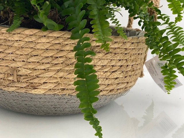 OSŁONKI Z TRAWY MISA Z RĄCZKAMI komplet - obrazek 7