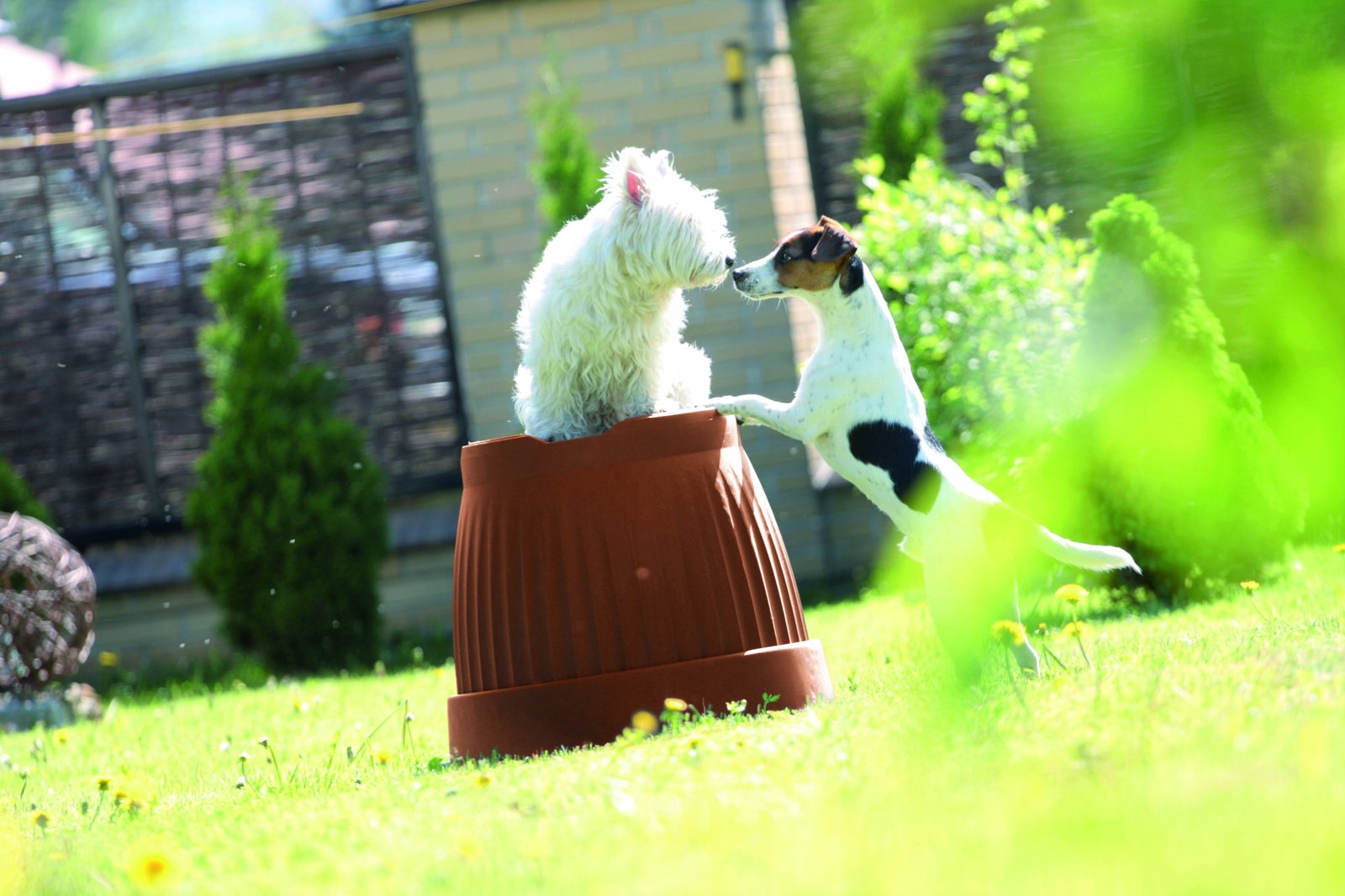 Doniczka TERRA 20 ANTRACYT Prosperplast 20 cm x 20 x 15,5 cm - obrazek 5