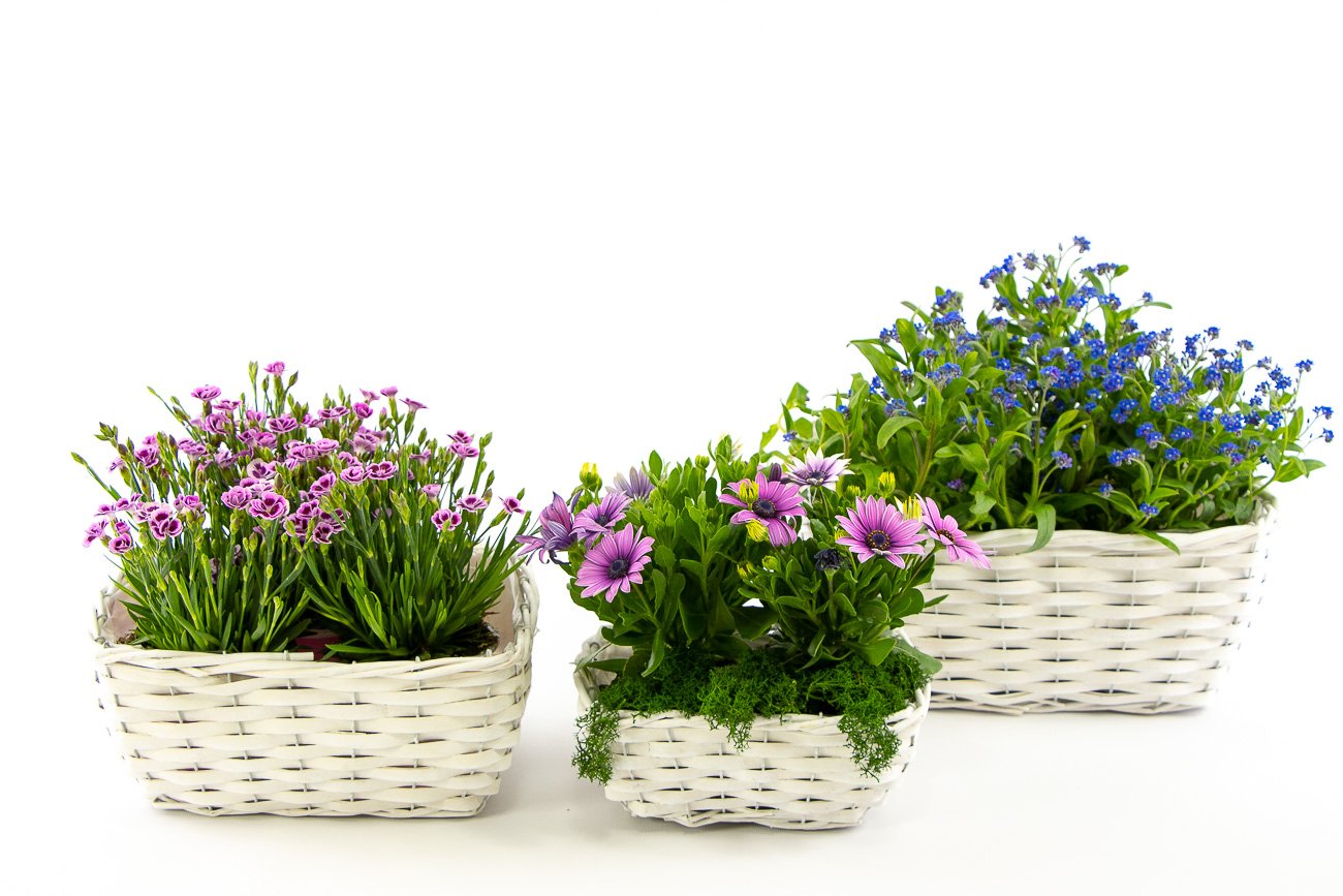 Osłonka komplet 34x25 h 15 cm