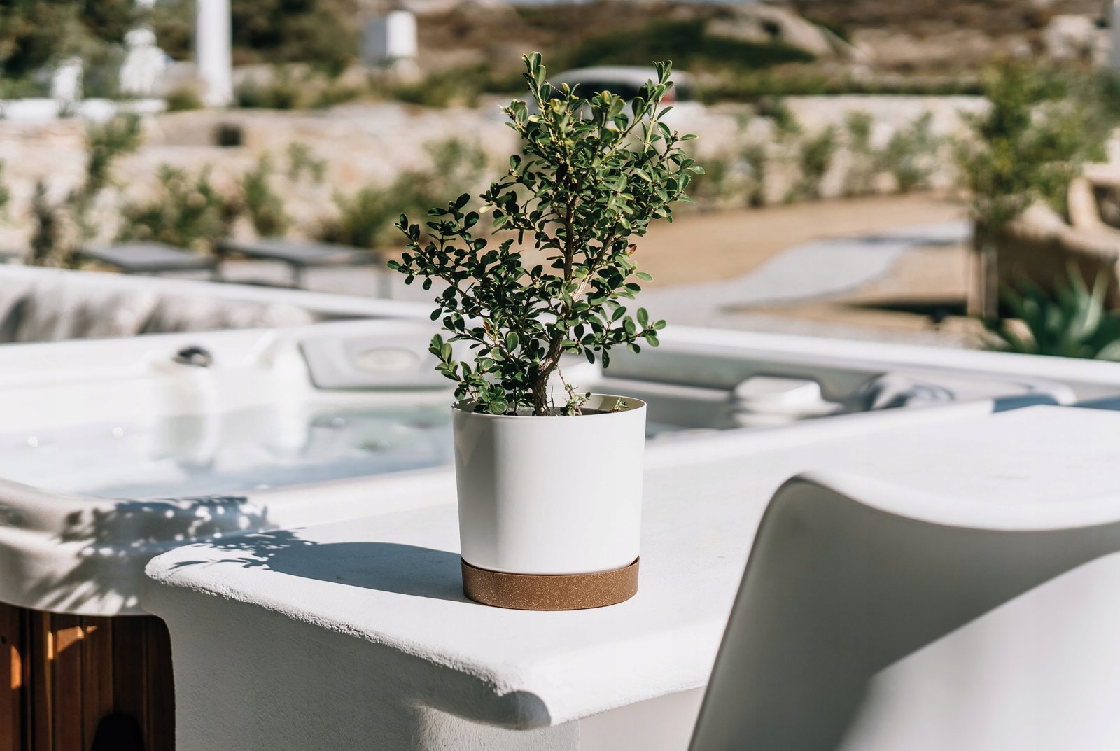 Doniczka z podstawką TUBO PM 24 CM Prosperplast 23,9x23,9x23,1 cm zielona - obrazek 12