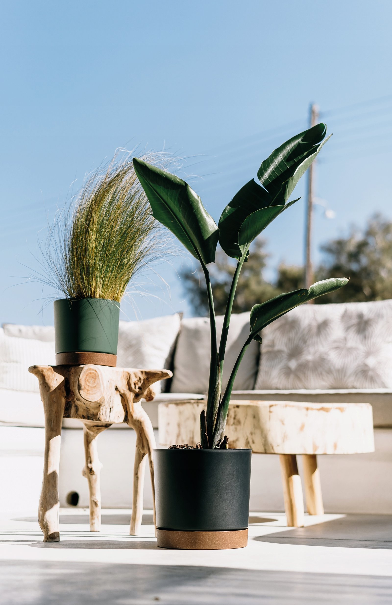 Doniczka z podstawką TUBO PM 30 CM Prosperplast 29,2x29,2x28,3 cm biała - obrazek 10