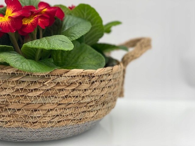 OSŁONKI Z TRAWY MISA Z RĄCZKAMI komplet - obrazek 5