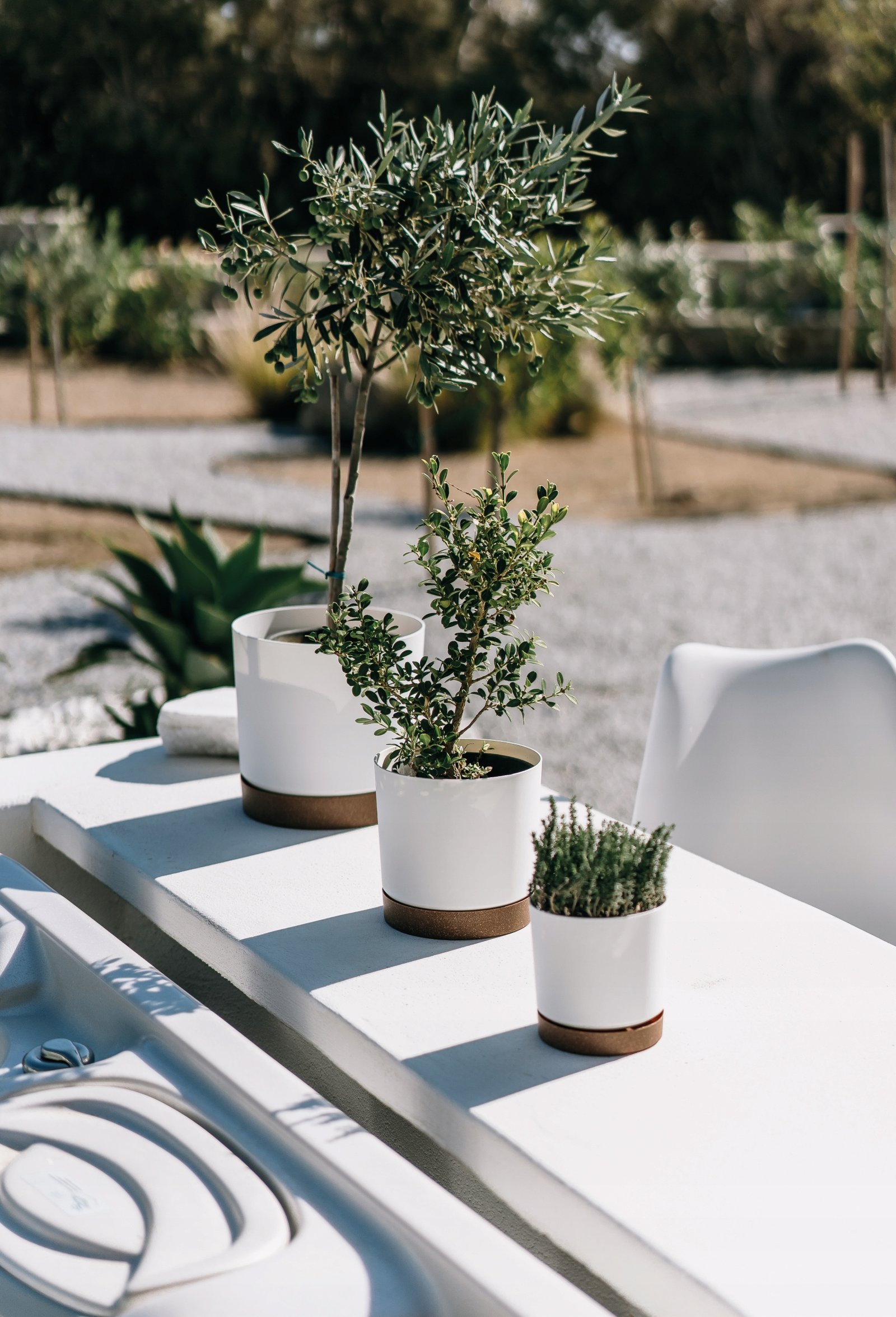 Doniczka z podstawką TUBO PM 30 CM Prosperplast 29,2x29,2x28,3 cm antracyt - obrazek 6