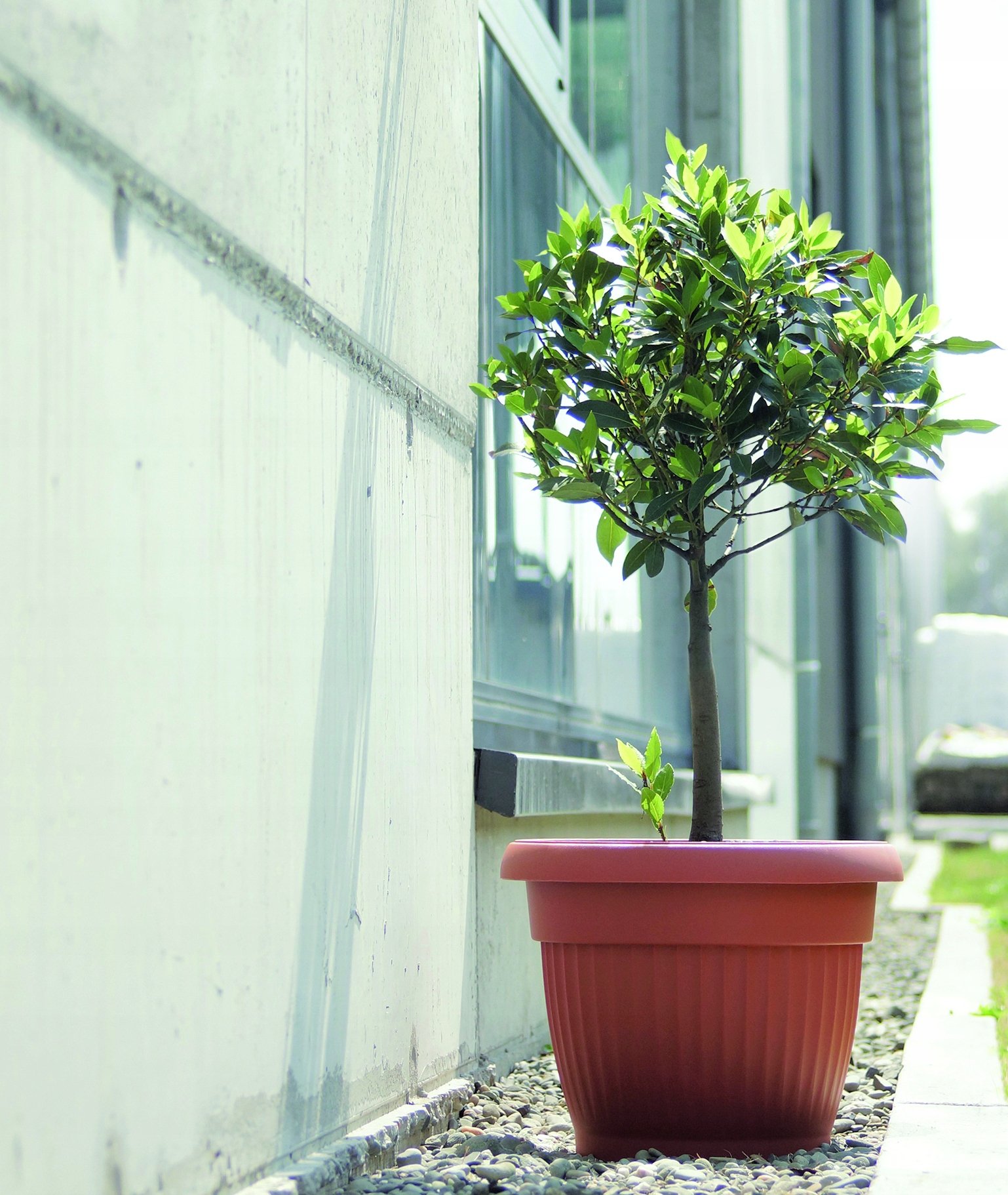 Doniczka TERRA 20 ANTRACYT Prosperplast 20 cm x 20 x 15,5 cm - obrazek 3