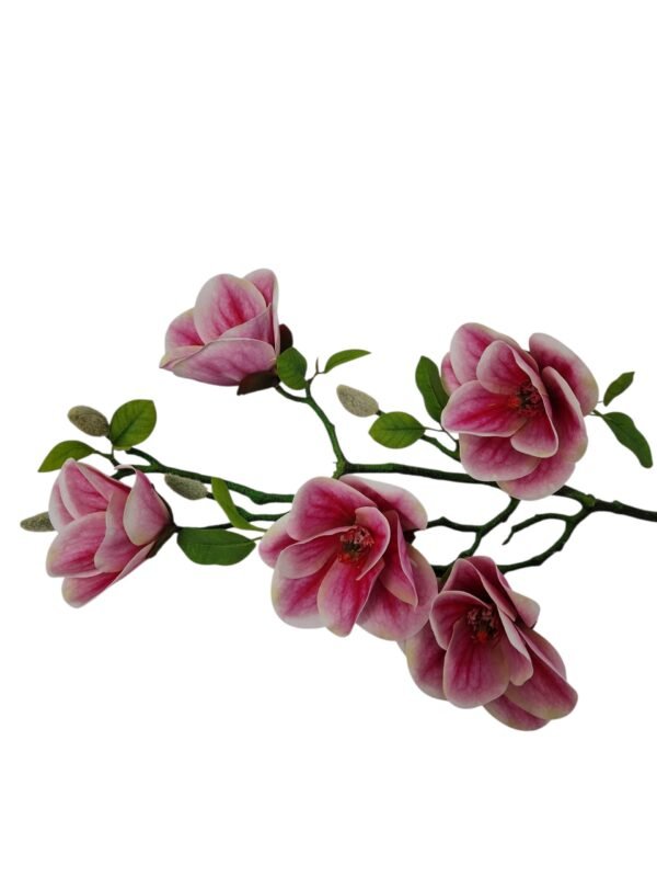 Gałązka Magnolia 75 cm Guma Q-11 cm Q - 7 cm