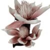 Gałązka Magnolia H 106 cm Główka 30 cm Pianka