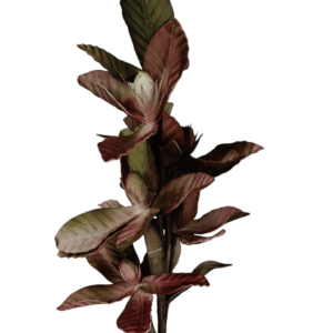 Gałązka Magnolia H 100 cm Pianka VIP7908