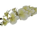 Gałązka Storczyk Gumowy H 102 cm 9 główek VIP7541/23#