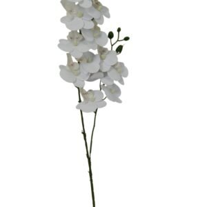 Gałązka Storczyk Gumowy H 58 cm 12 główek VIP1898/105