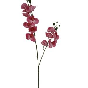 Gałązka Storczyk Gumowy H 58 cm 12 główek VIP1898/52
