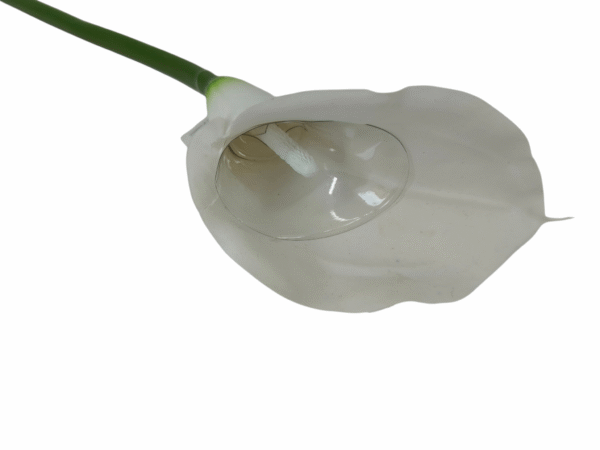 Kalla Kalia gałązka pojedyncza gumowa H 74 cm 12cmx9 cm