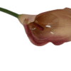 Kalla Kalia gałązka pojedyncza gumowa H 74 cm 12cmx9 cm