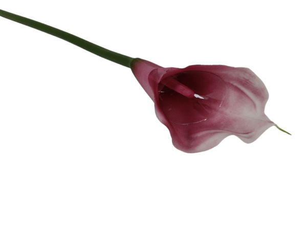 Kalla Kalia gałązka pojedyncza gumowa H 74 cm 12cmx9 cm