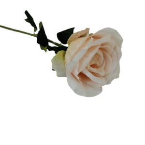 Gałązka Róża H 70 cm Q 12 cm VIP6347/KL006
