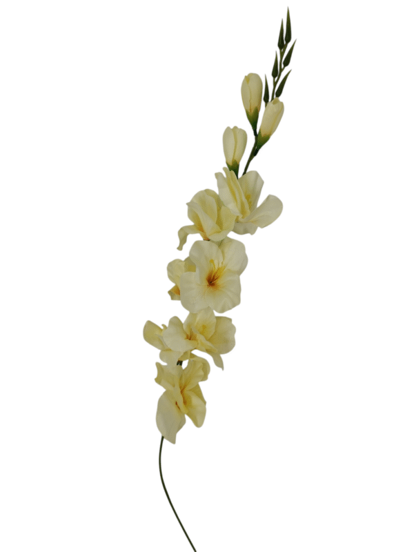 Gałązka Mieczyk H 80 cm 12 szt.