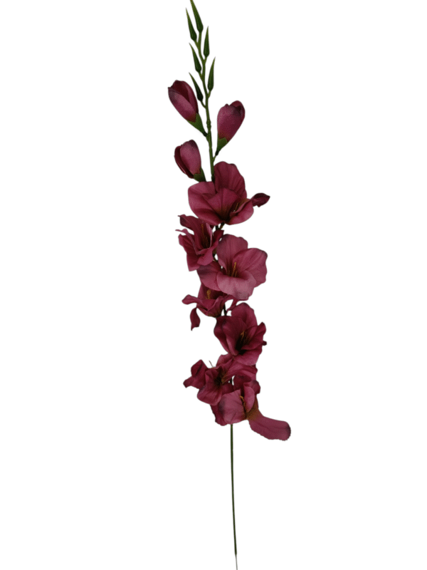 Gałązka Mieczyk H 80 cm 12 szt.