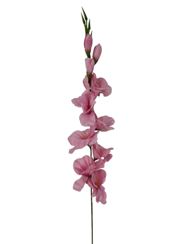 Gałązka Mieczyk H 80 cm 12 szt.