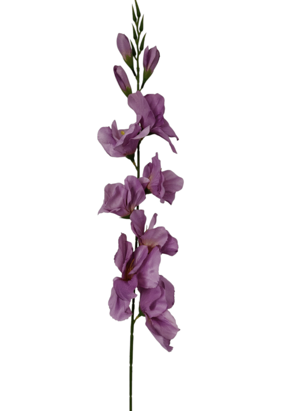 Gałązka Mieczyk H 80 cm 12 szt.