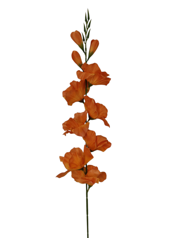 Gałązka Mieczyk H 80 cm 12 szt.