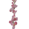Gałązka Mieczyk H 80 cm 12 szt.