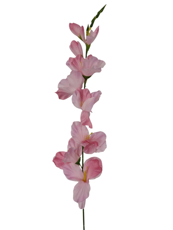 Gałązka Mieczyk H 80 cm 12 szt.