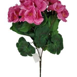 Bukiet Pelargonia H 38 cm VIP6574