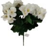 Bukiet Pelargonia H 38 cm