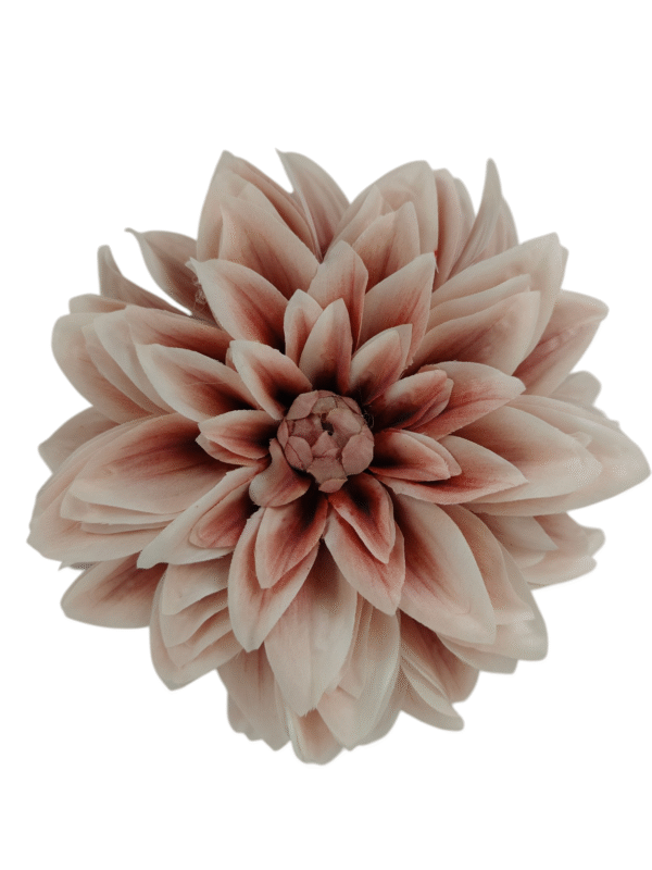 Główka Wyrobowa Dalia Q 20 cm