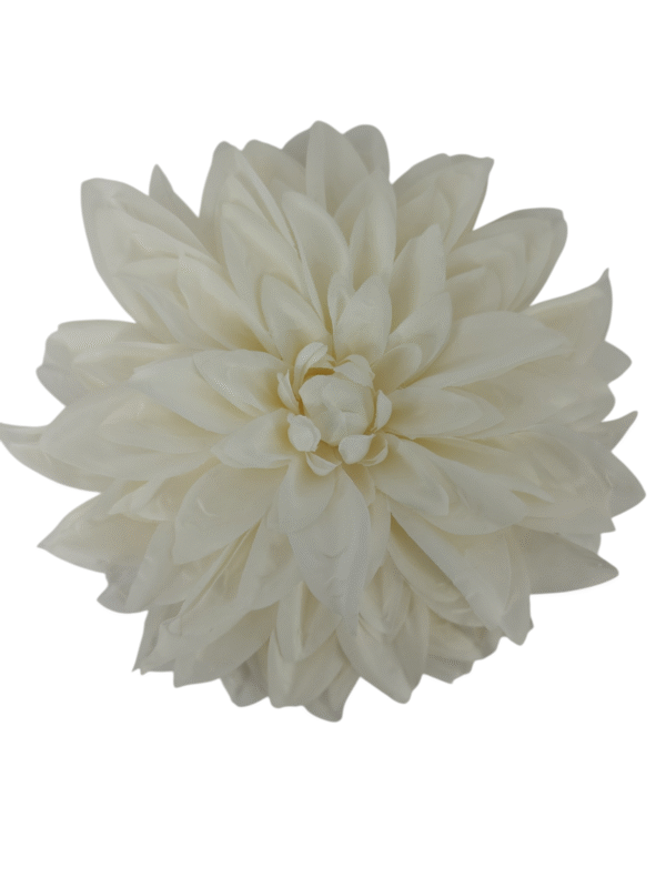 Główka Wyrobowa Dalia Q 20 cm