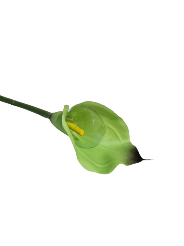 Kalla Kalia gałązka pojedyncza gumowa H 74 cm 12cmx9 cm (wzór 15)