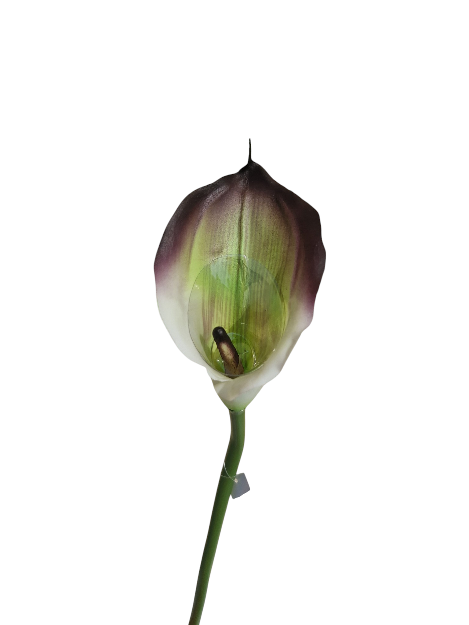 Kalla Kalia gałązka pojedyncza gumowa H 74 cm 12cmx9 cm - obrazek 3