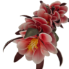 Gałązka Magnolia 5 Kwiatów H 106 cm Kwiat Q 20 cm Pianka
