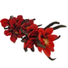 Gałązka Magnolia 5 Kwiatów H 106 cm Kwiat Q 20 cm Pianka
