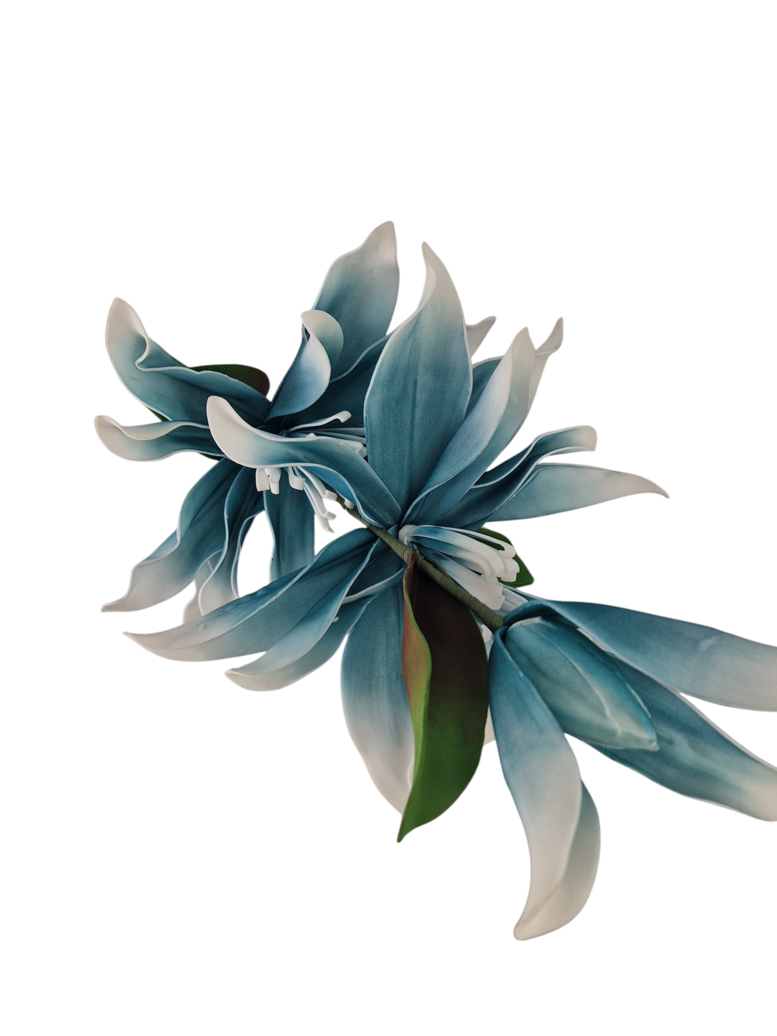 Gałązka Magnolia Pianka H 110 cm 2 Kwiaty + 1 pąk - obrazek 2