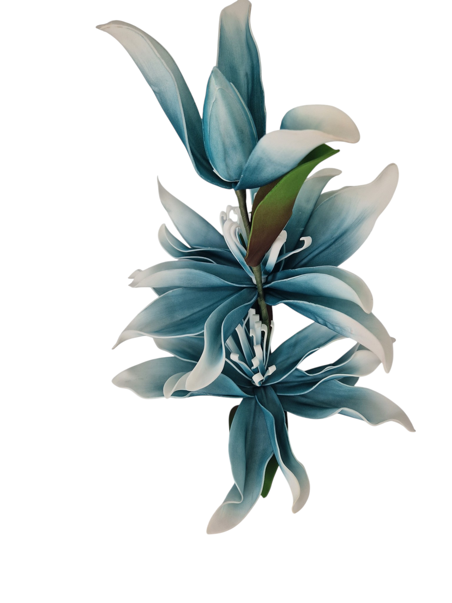 Gałązka Magnolia Pianka H 110 cm 2 Kwiaty + 1 pąk - obrazek 3