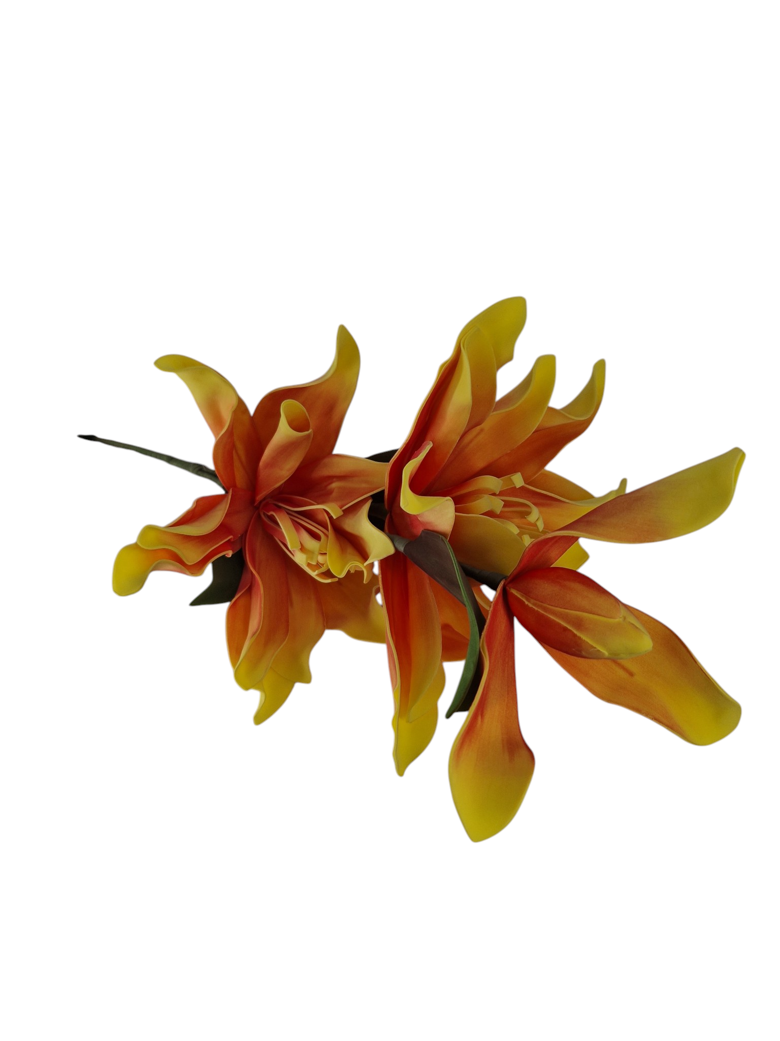 Gałązka Magnolia Pianka H 110 cm 2 Kwiaty + 1 pąk - obrazek 2
