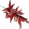 Gałązka Magnolia Pianka H 110 cm 2 Kwiaty + 1 pąk