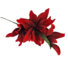 Gałązka Magnolia Pianka H 110 cm 2 Kwiaty + 1 pąk