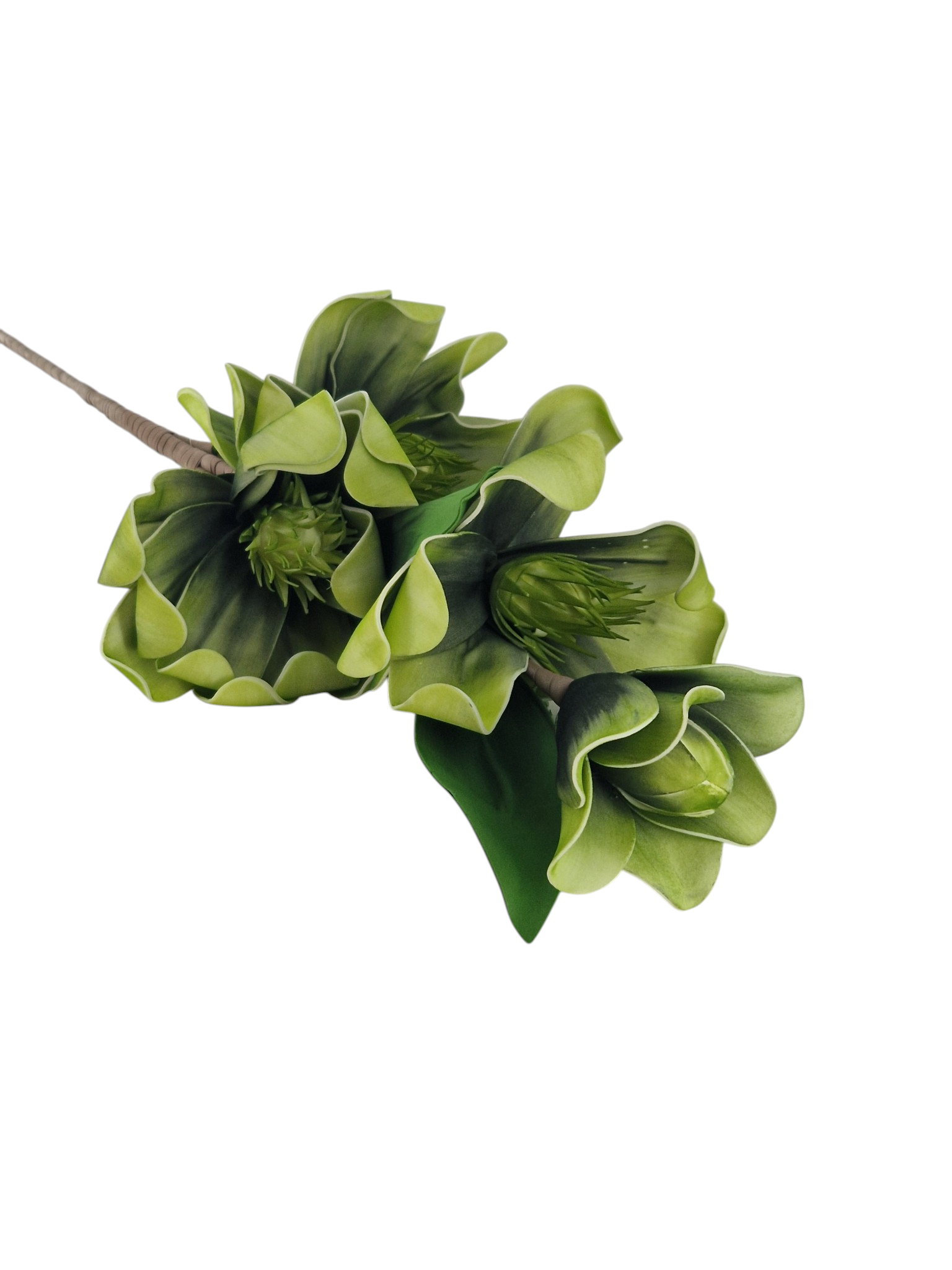 Gałązka Magnolia Pianka H 110 cm 3 Kwiaty + 2 pąki - obrazek 2