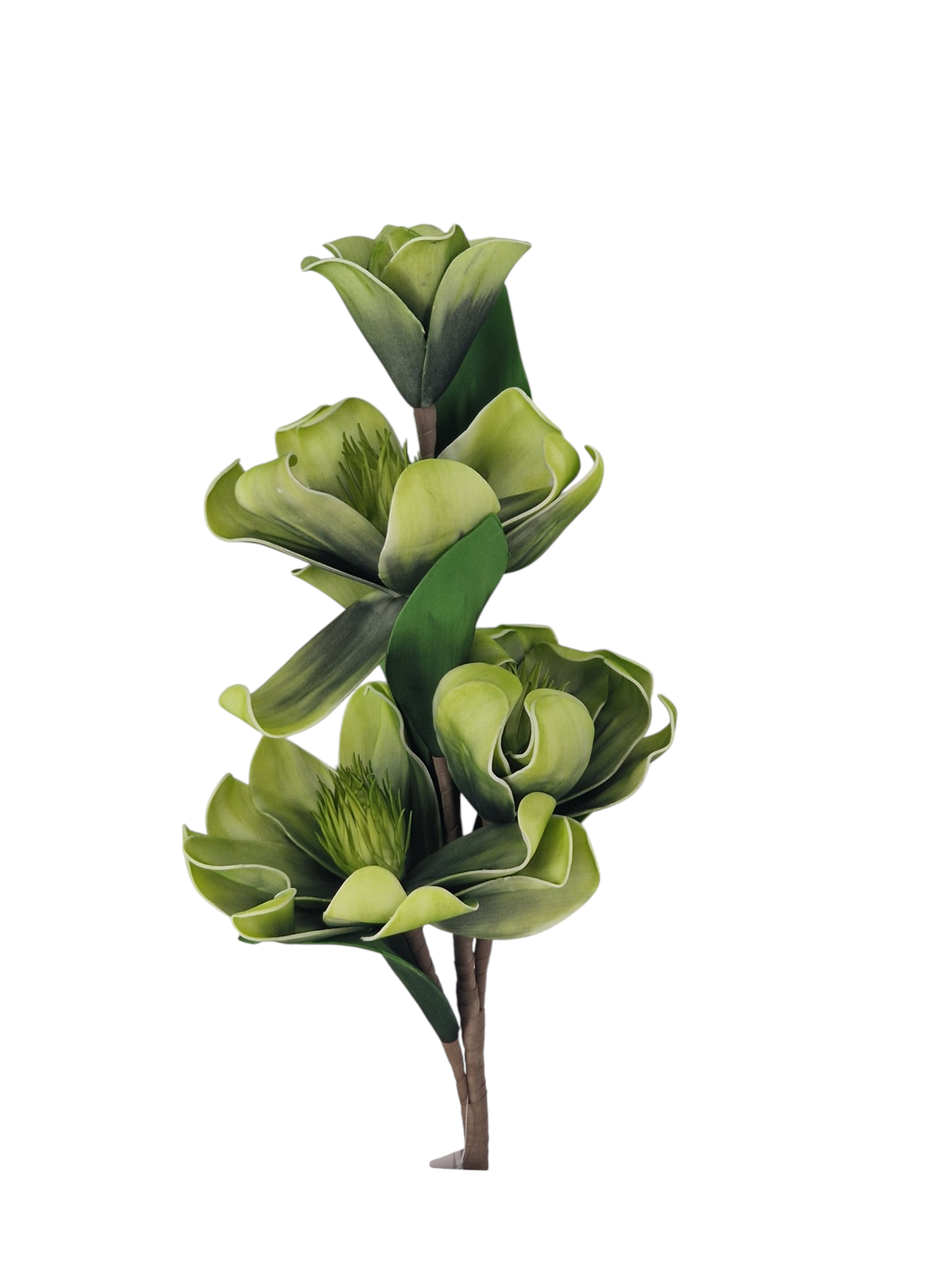Gałązka Magnolia Pianka H 110 cm 3 Kwiaty + 2 pąki - obrazek 3